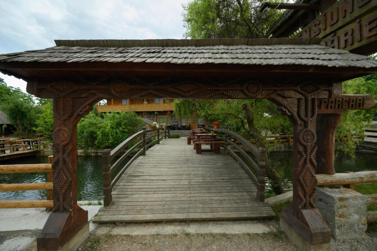 Pensiune Pastravarie La Pintea Haiducu Desesti ภายนอก รูปภาพ