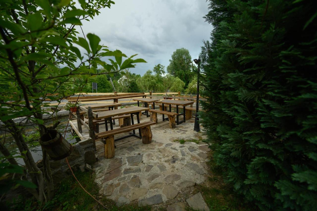 Pensiune Pastravarie La Pintea Haiducu Desesti ภายนอก รูปภาพ