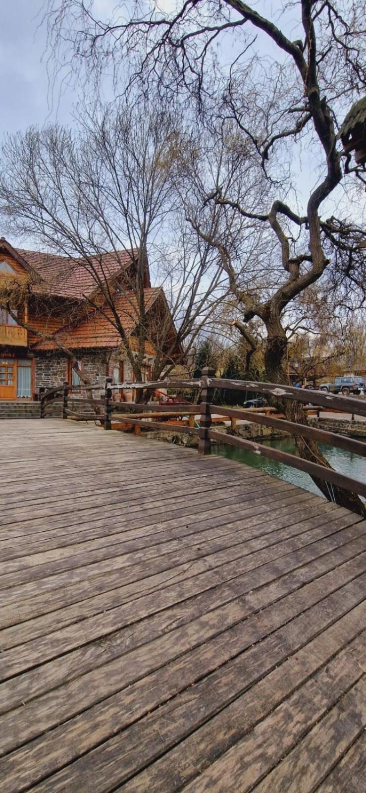 Pensiune Pastravarie La Pintea Haiducu Desesti ภายนอก รูปภาพ
