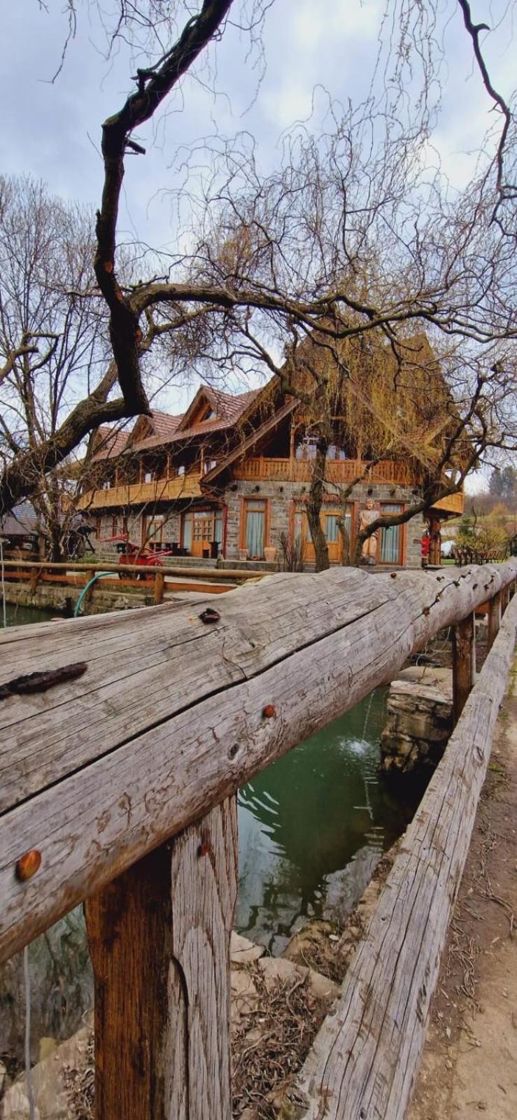 Pensiune Pastravarie La Pintea Haiducu Desesti ภายนอก รูปภาพ